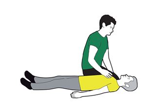 how-to-do-the-primary-survey-small-pod