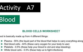 KS4 A7 Blood Piechart