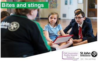 KS2 Bites and Stings