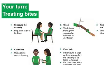 KS2-treating bites-your turn
