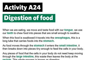 KS2-A24-Digestive process KS2-A24-Digestive process