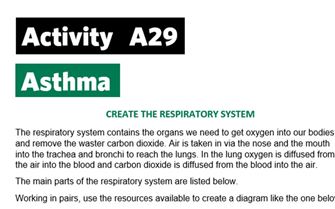 KS3-A29-Create the respiratory system
