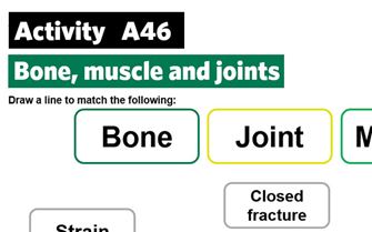 KS4-A46-Match the injury