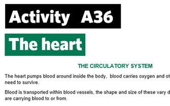 KS4-A36-Create circulatory system