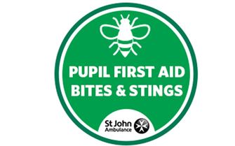 pupil-first-aid-bees-and-stings