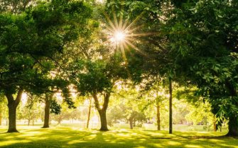 Funeral_collection_smallpod