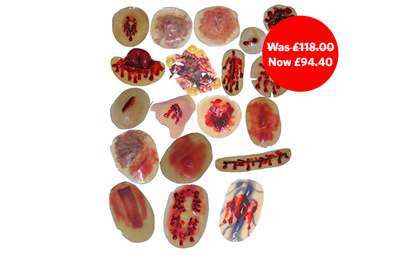 P06400sale_S