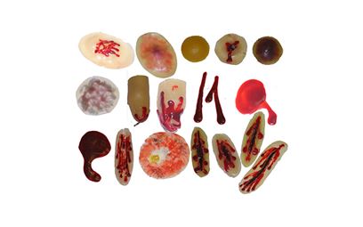 Plastic Wound Replicas Plastifol Set No. 1